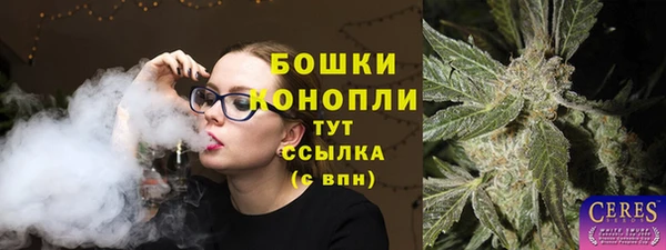 шишки Белоозёрский