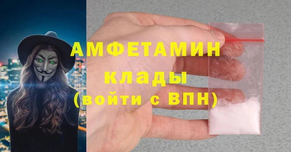индика Беломорск