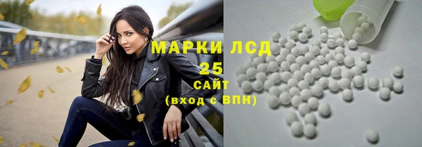 индика Беломорск