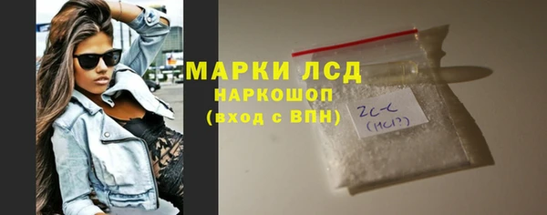 индика Беломорск