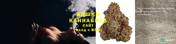 метадон Белокуриха