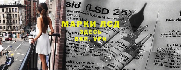индика Беломорск