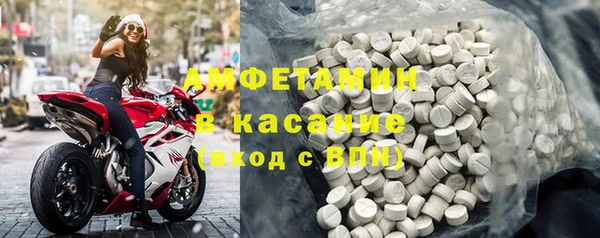 гидра Богородск