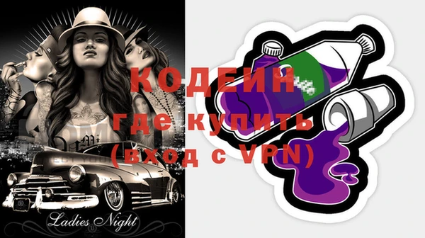 шишки Белоозёрский
