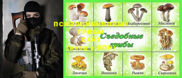 индика Беломорск
