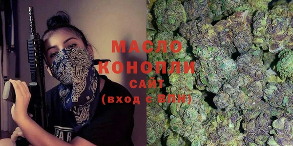 гидра Богородск