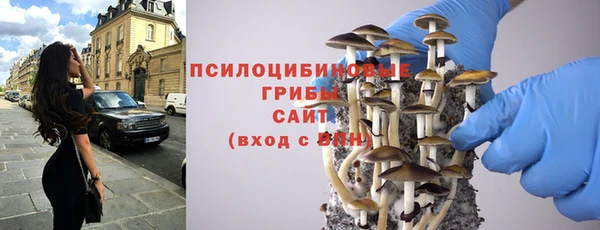 шишки Белоозёрский