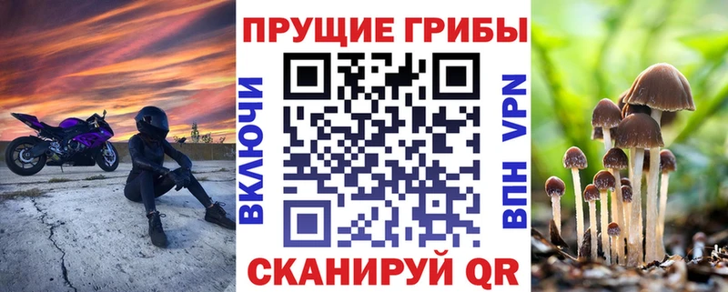 ОМГ ОМГ сайт  где найти   Надым  Галлюциногенные грибы Psilocybine cubensis 