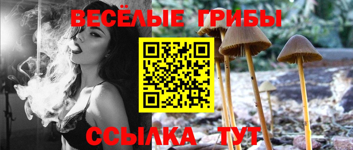Псилоцибиновые грибы Cubensis  Вход с VPN  Надым 